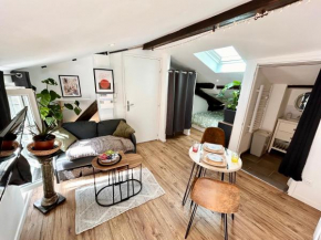 Loft Hortensia Hyper Centre Castres
